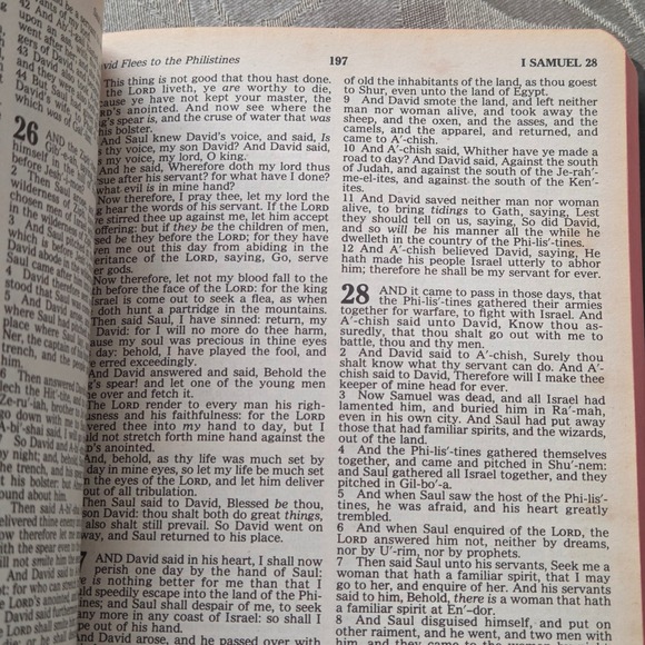 Holy Bible KJV Regency Black Leather – Words of Christ in Red, Concordance - Picture 10 of 13